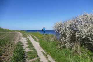Ferienwohnung Strandläuferin - 3