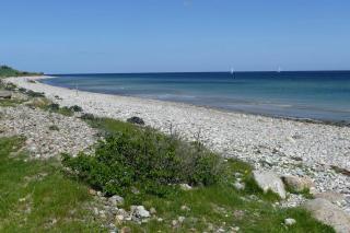 Ferienwohnung Strandläuferin - Schönhagen - 5