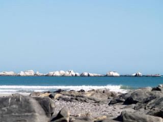 La Baleine - 5