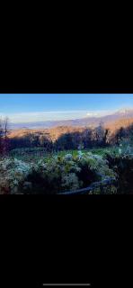 Cascina Brunod - 9