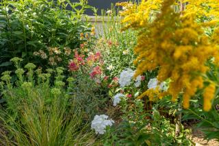 Gîte Village Nature - 3