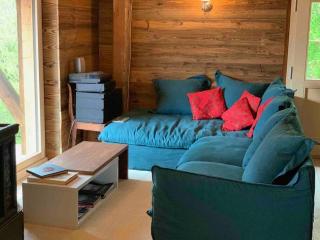 Alps Chalet for Big Group with Sauna Yoga Terrace - Rossinière - 1