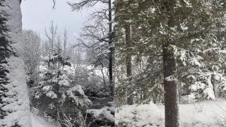 Chalet by the River in Gstaad With Sauna - Gsteig - 9