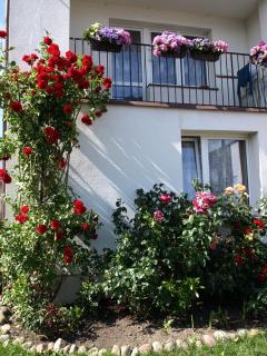 Całoroczny Dom Wczasowo-Hotelowy - Unieście - 7