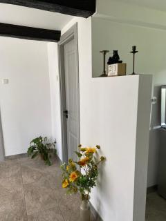 Căsuță BnB - Câmpulung Moldovenesc - 2
