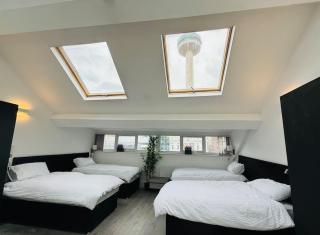 Williamson Suites - Apartment 2 - Liverpool - 7