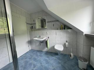 Haus David - Briedel - 3