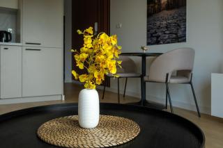 Cozy Studio for 2 People 550 m from the Old Town Square by Noclegi Renters - Przemyśl - 2