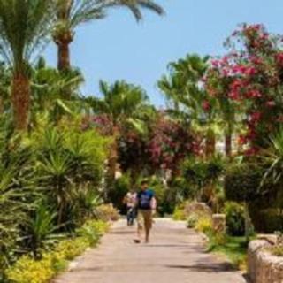 Mirage Bay Resort & Aqua Park - Ghania Suite - Hurghada - 5