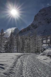 Centro di Aosta - Bilocale grazioso e silenzioso - Aosta - 5