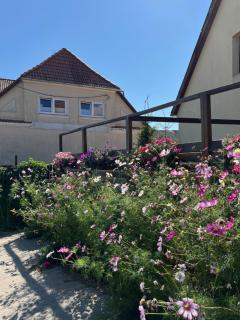 Apartament pod Lwem - Marcinowa Wola - 5