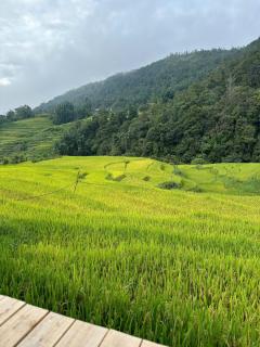 Sapawine Homestay - 2