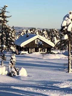 Trivelig by Norgesbooking - cabin at Blefjell - Flesberg - 8