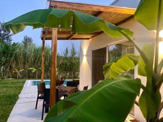 Lions Luxury Villa 2 - ZANZIBAR - Private Cook & Infinity Pool - Kiwengwa - 2