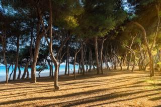 Villa Mediterrania I Mallorca - by EMERALD STAY - Port d'Alcudia - 5