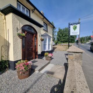 The Monkey Puzzle - Bunclody - 8