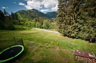 Appartement 2 à 4 personnes Chalet Le Bolet - Morzine - 2