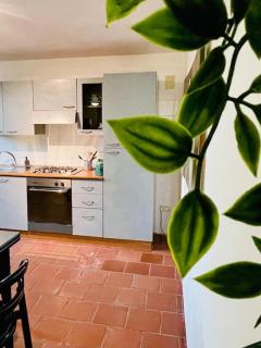 Casa in campagna vicino Polignano A Mare - EKATOS - 5