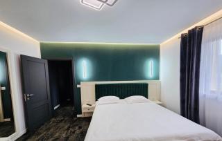 Erene Hotel - Câmpulung Moldovenesc - 7