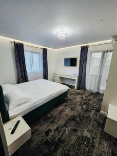 Erene Hotel - Câmpulung Moldovenesc - 5