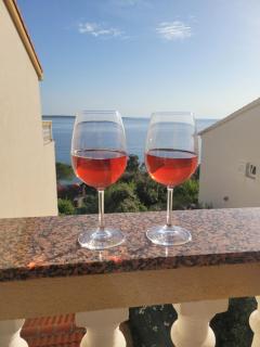 Cozy seaside family apartment Iris in Mandre - Mandre - 7