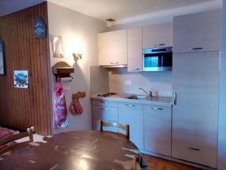 Studio cosy 4 pers. avec kitchenette équipée, parking, casier à skis, à 200m des pistes! - FR-1-733-75 - Crest-Voland - 3