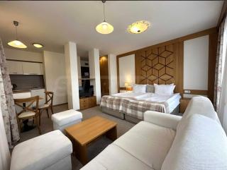 Cozy studio in Green Life Bansko - Bansko - 7