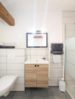 Bel Appartement T1Bis en centre ville de Cholet - Cholet - 4