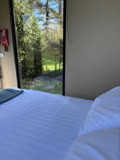 Golden Valley Retreat by Tiny Away - Waihi - 3