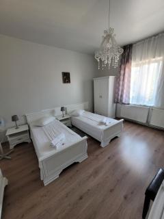Pensiunea Boema - Cluj-Napoca - 9