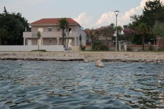 Apartments Sandrea - Privlaka - 5