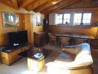 South Facing Family Chalet in Saanen Village - 7