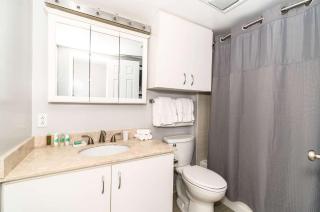 Serene Apt Downtown - 1