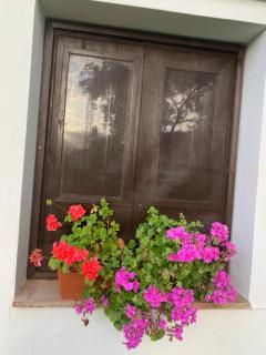 Casa rural La Portilla - Aroche - 3