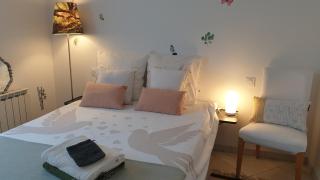 Balade en estuaire - Nieulle-sur-Seudre - 5