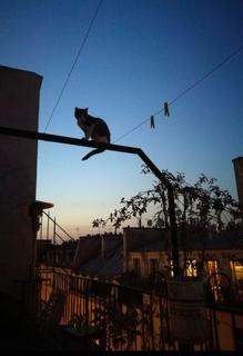 Good News - Bonne Nouvelle - Paris - 0