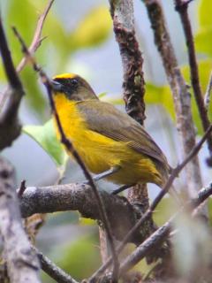 Casa Osa Bella de Arte - 0