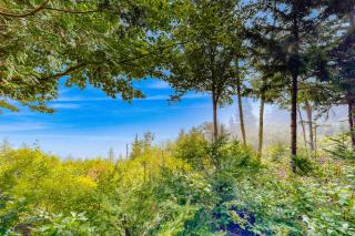 Cozy 1BR Cabin with Landscape Views - 4