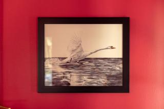 The Swan - Vibrant East Hill Getaway - Pensacola - 6