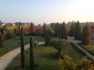 La Vedetta Bed and Breakfast - Castelvetro di Modena - 7