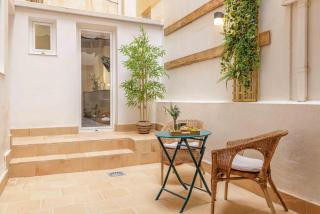 Living4Malaga Shining Beetle - Málaga - 7