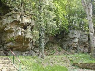 Charming 2 Bedroom House with cozy attic in scenic Ferschweiler Ideal for family hollidays - 5