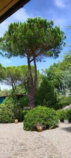 Villa Santa Margherita - La Suvera - Ponte A Bozzone - 7