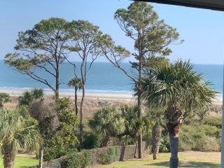 Good Times and Tan Lines!-Central air, free bikes! - Hilton Head Island - 9