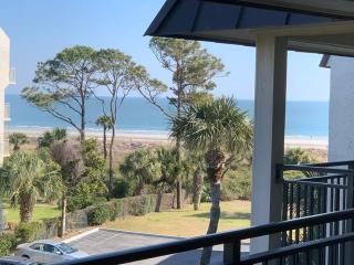 Good Times and Tan Lines!-Central air, free bikes! - Hilton Head Island - 3