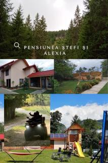 Casa Stefi si Alexia - Polovragi - 0