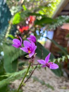 Logement entier, Unique, Vue rare, Massage, Plage - 3