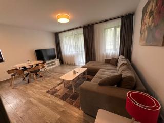 The View Apartment 3 Bușteni - Buşteni - 7