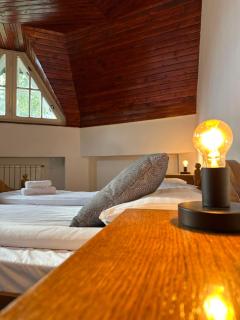 Pine Peak Apartments - Predeal - 5