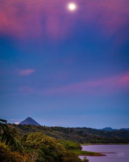 Little Paradise Lakefront Lodge - Nuevo Arenal - 9